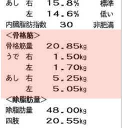 体組成計DF870出力イメージ